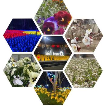 عکس های ارسالی دانش آموزان